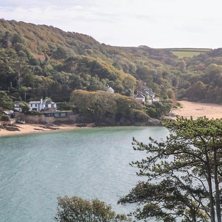 2 Poundstone Court Villa Salcombe Buitenkant foto